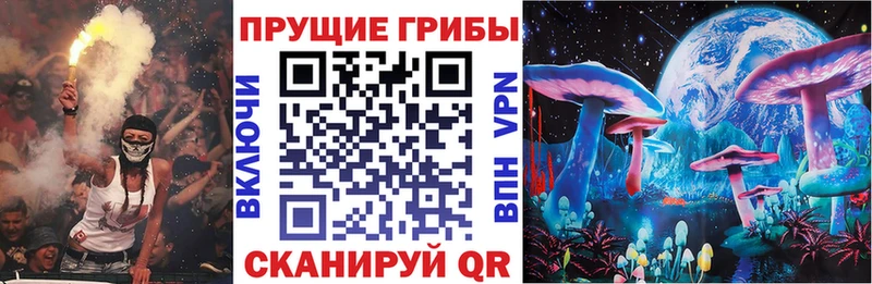 Купить где  Шиханы  Псилоцибиновые грибы ЛСД 